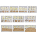 33-Piece Pottery Imprint Mold Set – Ceramic Texture & Decorative Stamp Tools