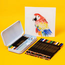 Underglaze Pencils – 12 Colors 1250°C